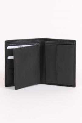 Yves Renard Portfolio  PF15426 - image 2 small
